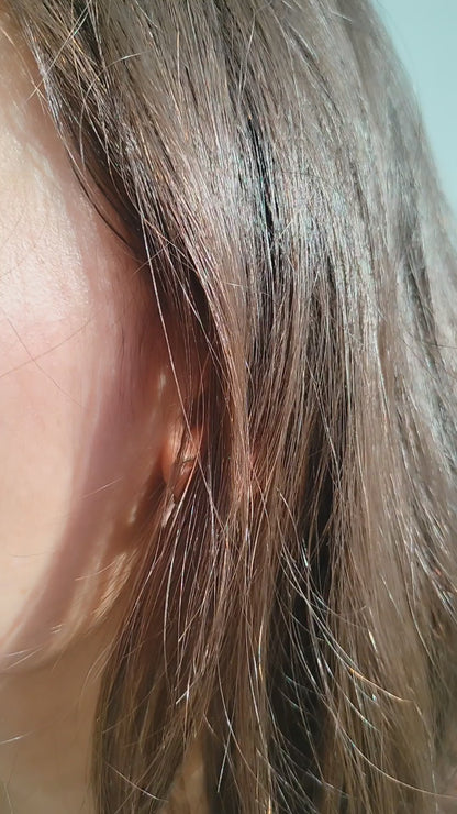 Silver Butterfly Earrings